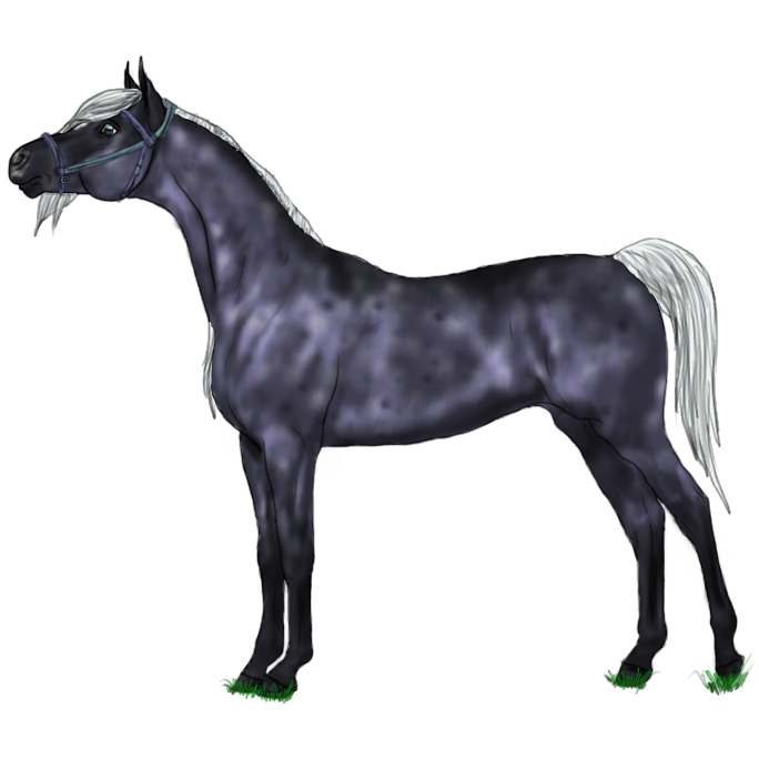 Kelpie