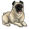 Pugsy