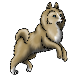 Wolflet1