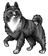 Wolflet2